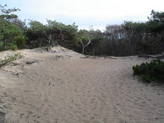 Sable et nature / Sand and nature