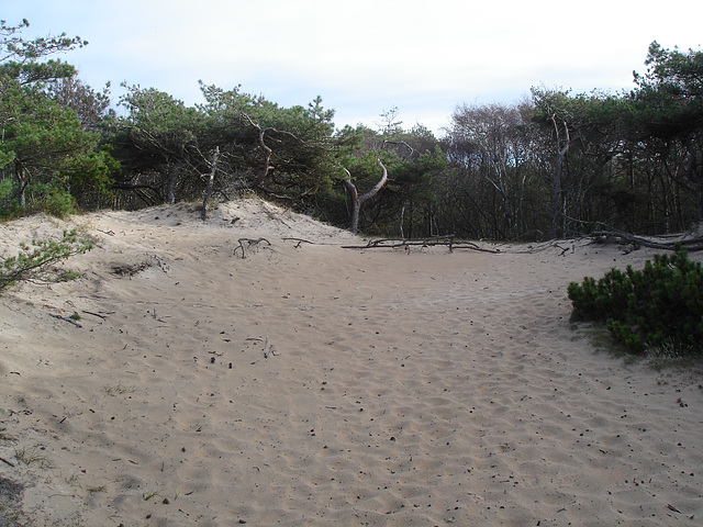 Sable et nature / Sand and nature