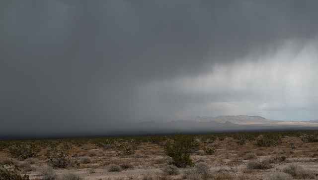 Amboy desert rain (#1010)