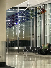 airport windows, dawn