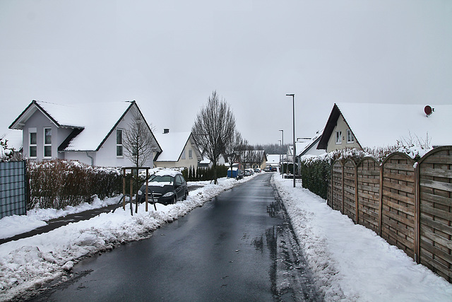 Diethelm-Büttner-Straße (Breckerfeld) / 8.03.2023