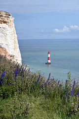 seven sisters beachy head lighthouse-DSC 5098