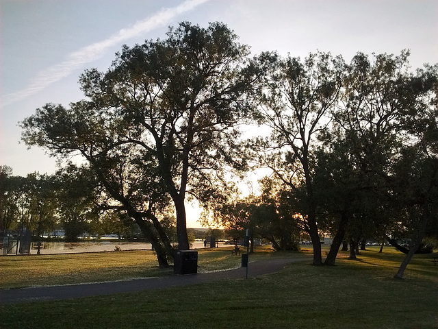 Sentier au petit matin / Pathway by the early morning