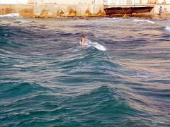 Telle une sirène . . . Plage des Catalans, Marseille !