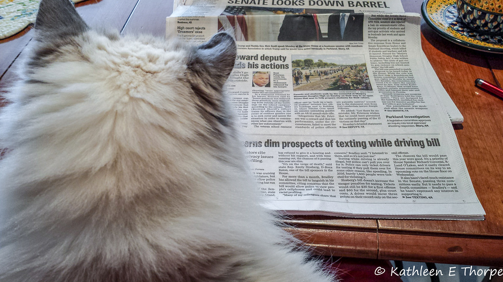 Zoe and My Morning Paper 022718