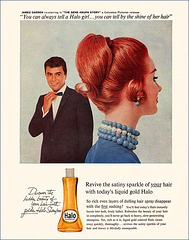 Halo Shampoo Ad, 1959