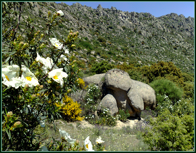 La Sierra de Cabrera in spring.