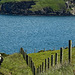 20190610 4970CPw [R~GB] Wanderung auf dem Pembrokeshire-Coast-Path, Cwm yr Eglwys, Dinas, Wales