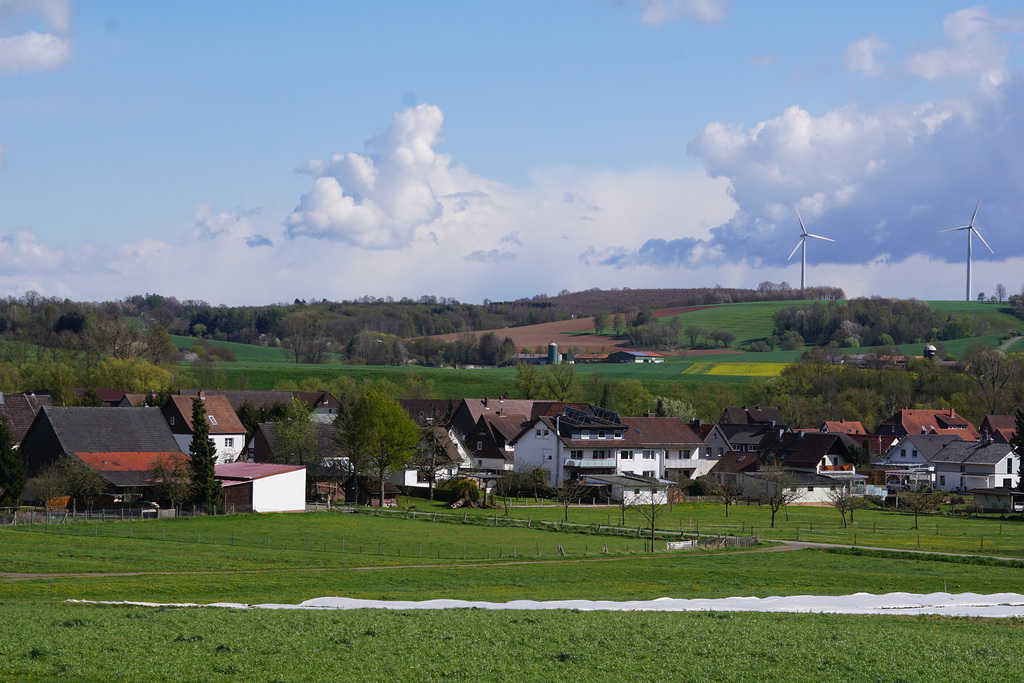 Hörden