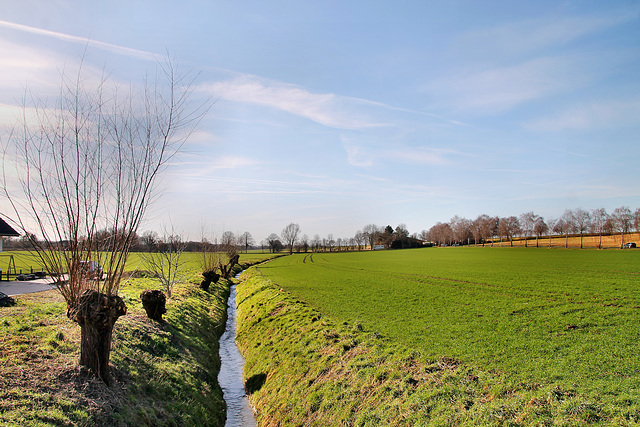 Feld am Lünerner Bach (Unna-Lünern) / 12.02.2022