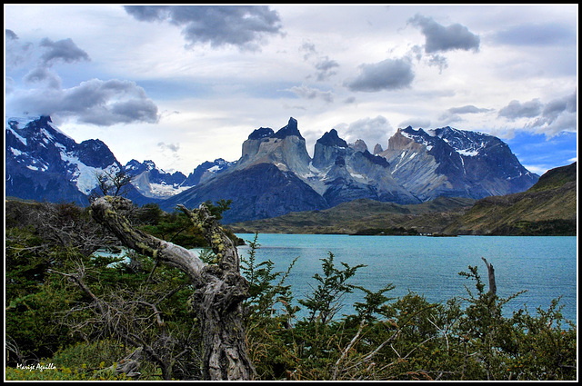 Torres del Paine