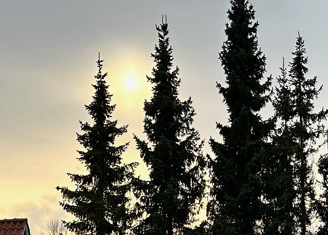 Jeden Tag steht die Sonne etwas höher,  10:06 Uhr