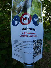 Achtung! - Schweinepest