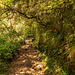 LEVADA DO CALDEIRÃO VERDE