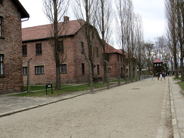 Auschwitz, 3.