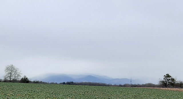 ein bißchen Schwarzwald