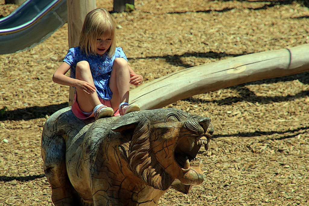 Une scène d'une rare violence , un lion s'est sauvagement déchaîné sur une petite fille . Fallait pas l'agacer non plus !