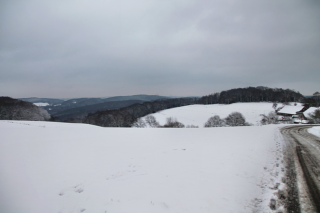 Schneebedeckte Landschaft bei Langenberg (Velbert) / 9.12.2017