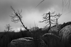 Serra da Estrela BW