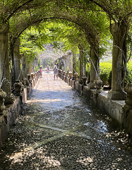 Jardins d’Alfàbia 7