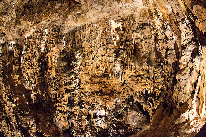 20150519 7964VRFw [F] Tropfsteinhöhle, Grotte des Demoiselles [Ganges]
