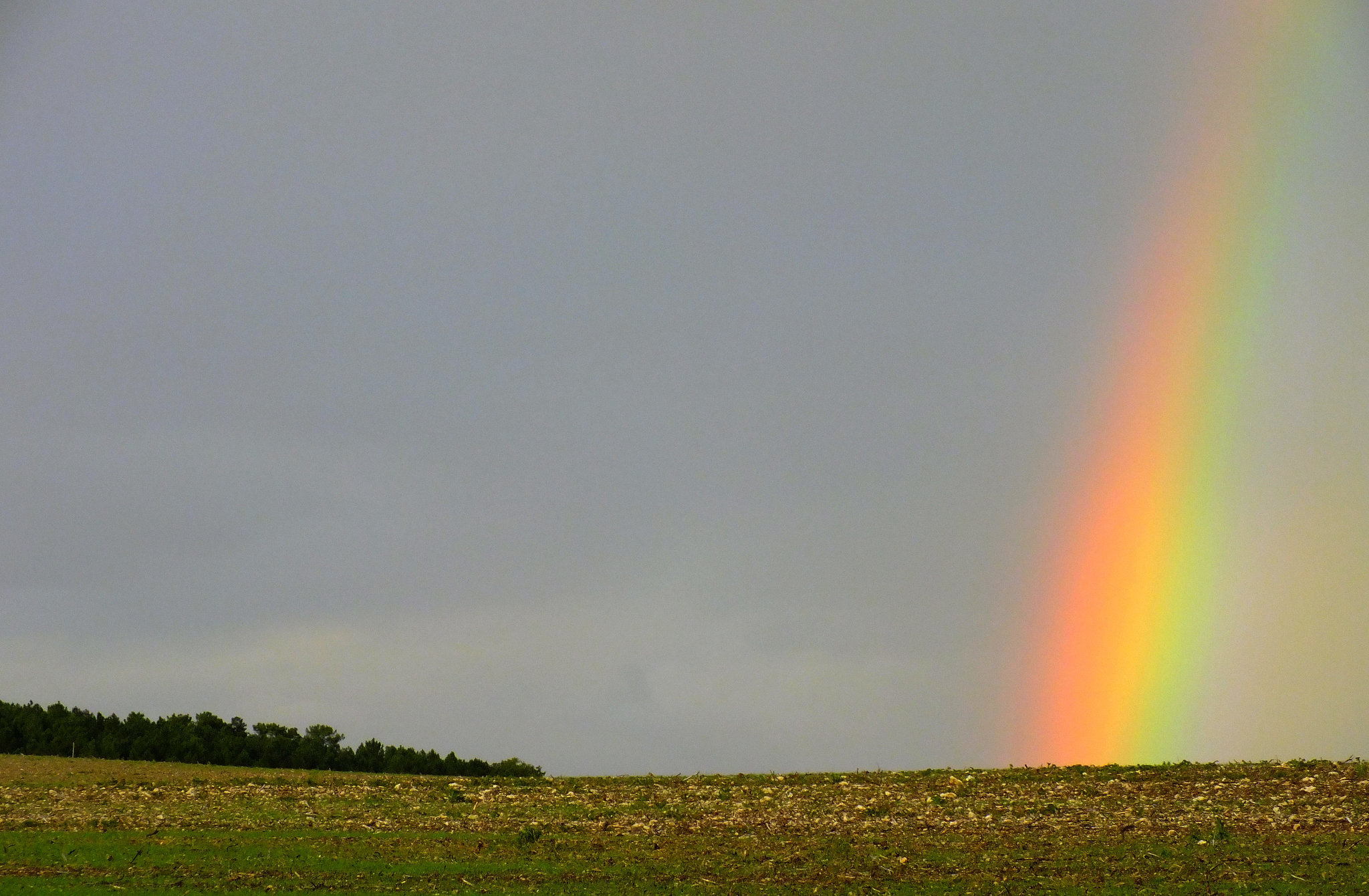 Arc en ciel d'automne