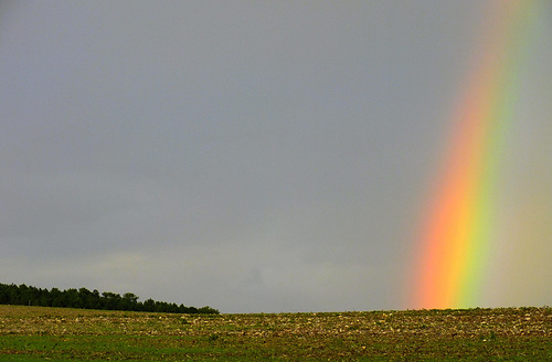 Arc en ciel d'automne