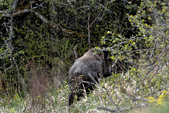 20250421_Stemberghaus_Talsperre