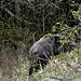 20250421_Stemberghaus_Talsperre