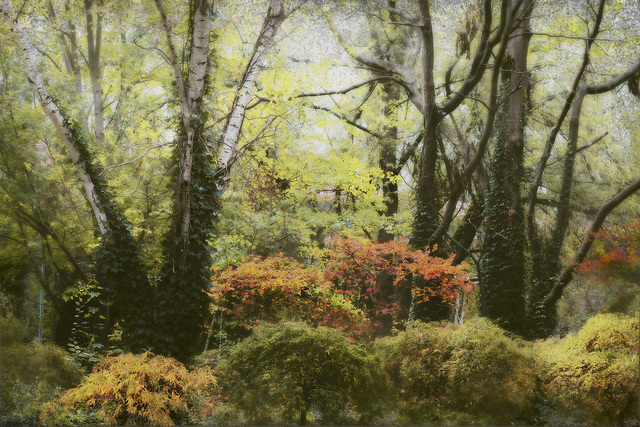 Herbst im Großen Tiergarten