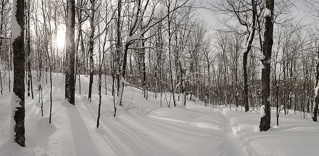 20180209- Parc des Montagnards