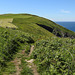 20190610 4973CPw [R~GB] Wanderung auf dem Pembrokeshire-Coast-Path, Cwm yr Eglwys, Dinas, Wales