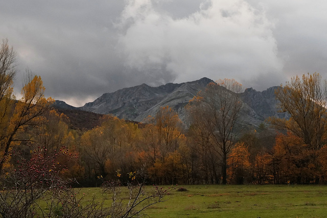 Picos de Europa, Lario