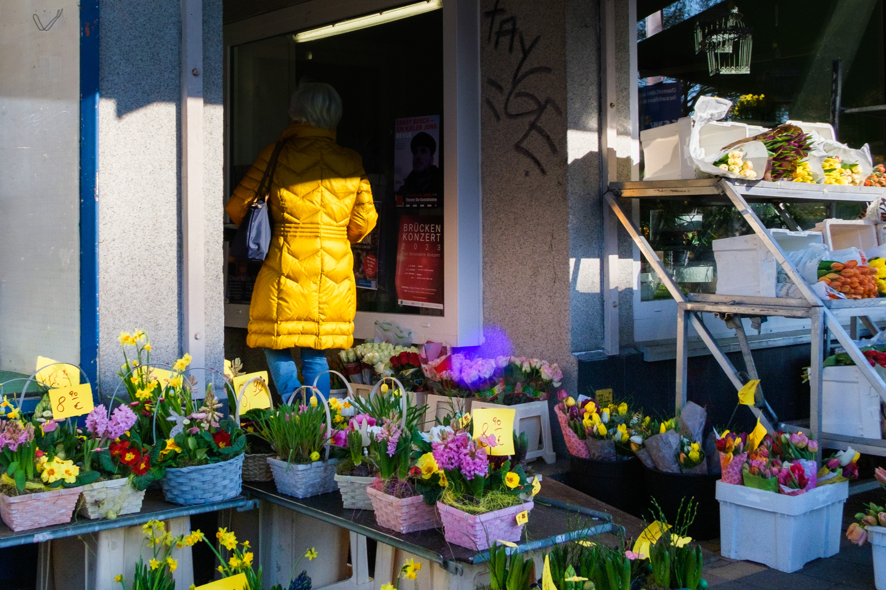 Hiding in the flower shop (03.04.2023)