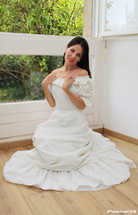 la dame blanche la dame blanche