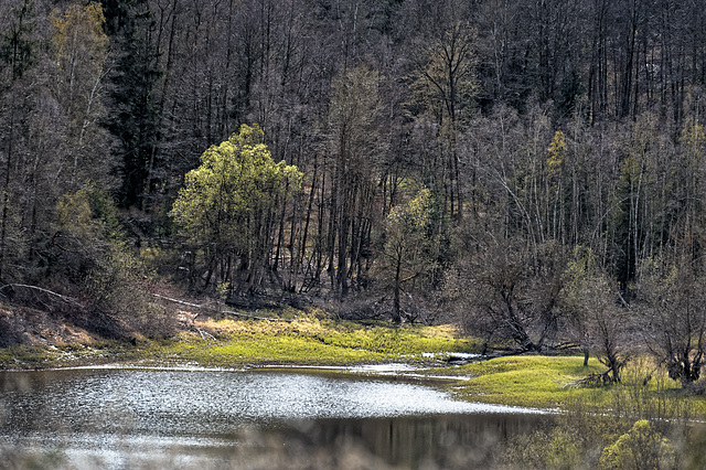 20250421_Stemberghaus_Talsperre 20250421_Stemberghaus_Talsperre