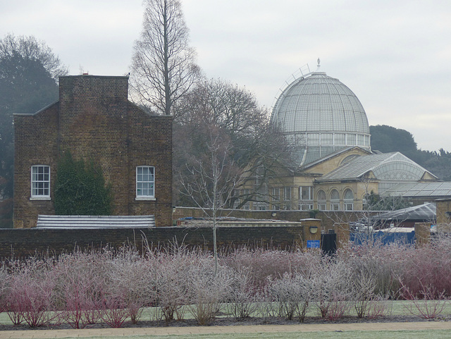 Around Syon Park (2) - 31 December 2014