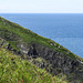 20190610 4974CPw [R~GB] Wanderung auf dem Pembrokeshire-Coast-Path, Cwm yr Eglwys, Dinas, Wales