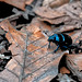 20250421_Stemberghaus_Talsperre