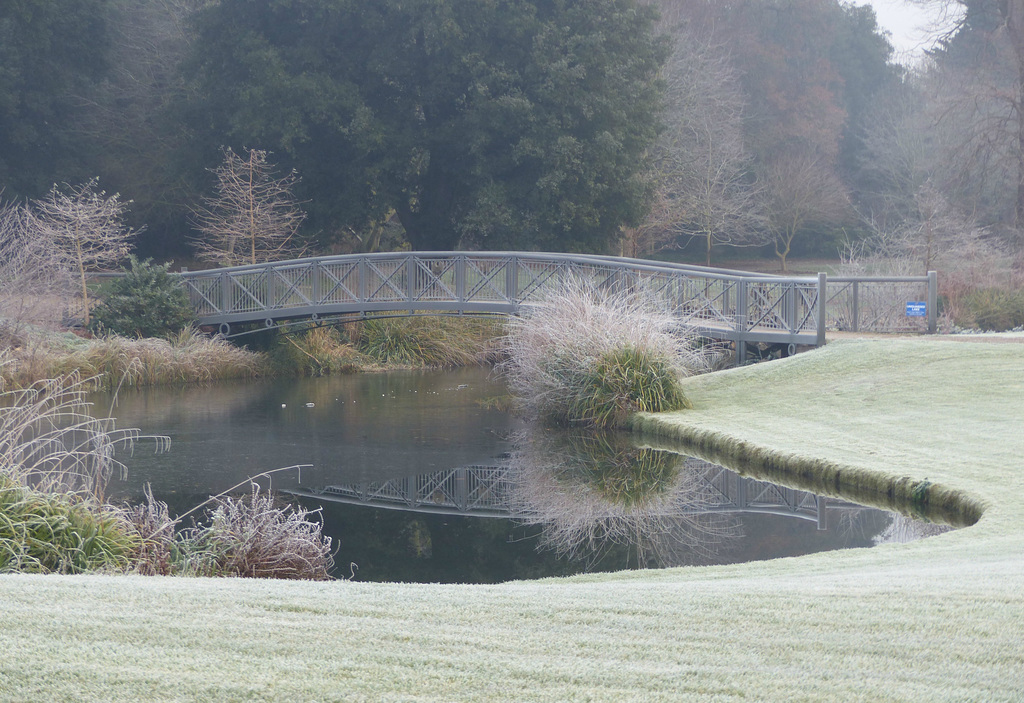 Around Syon Park (3) - 31 December 2014