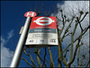 sun on a London bus stop