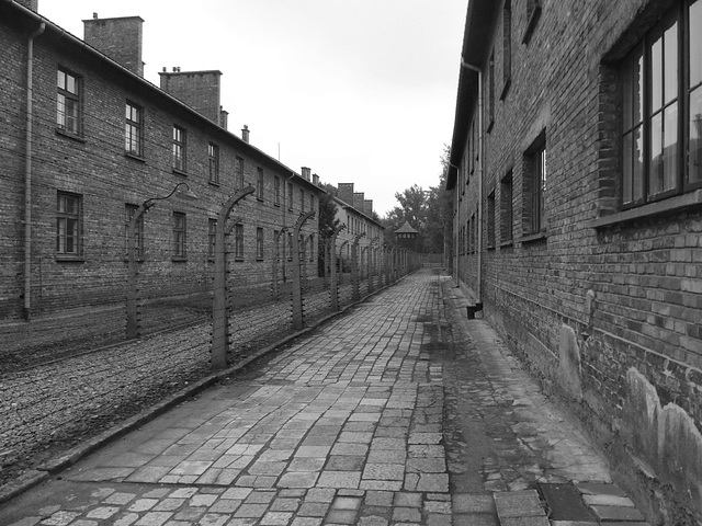 Auschwitz (22) - 19 September 2015