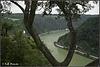 Blick von der Loreley