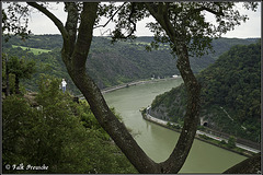 Blick von der Loreley