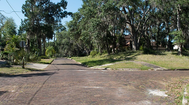 Palatka brick streets (#0425)