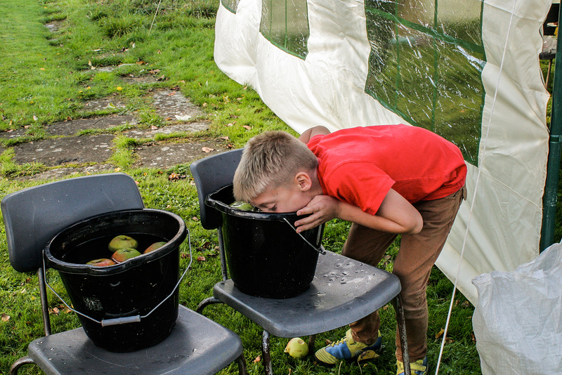 Apple Bobbing