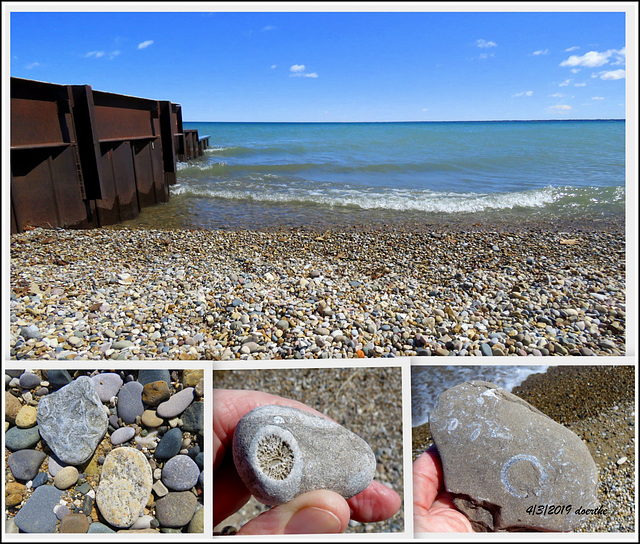 Fossils at the lake shore.