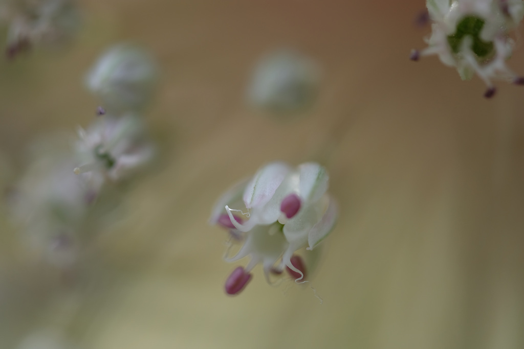 DSCF0565