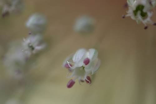 DSCF0565