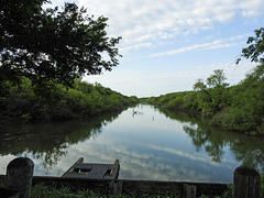 Day 9, Resaca de la Palma SP, Texas